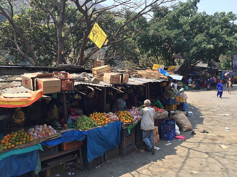 चितवन फ्रुट्स