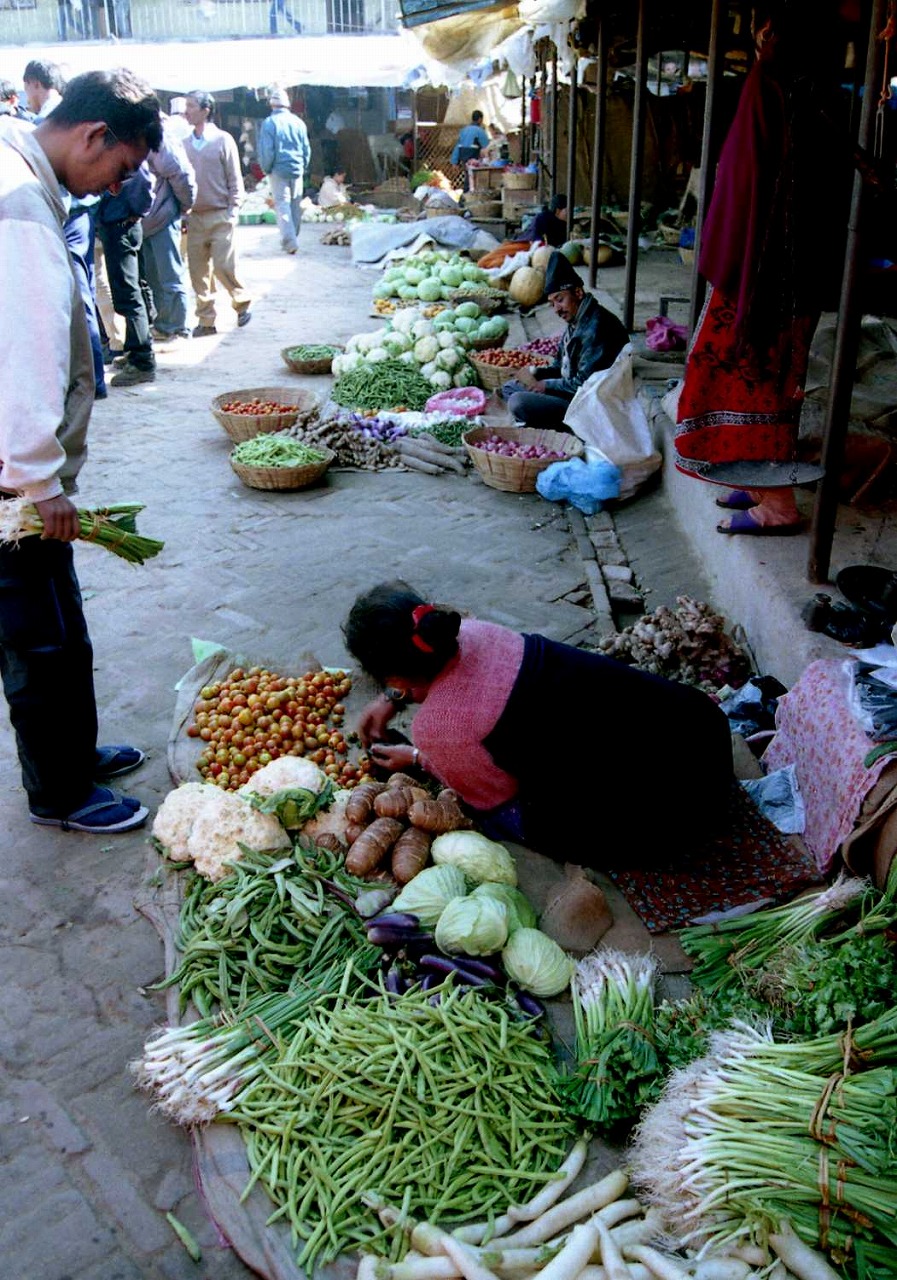 नुवाकोट कृषि सहकारी