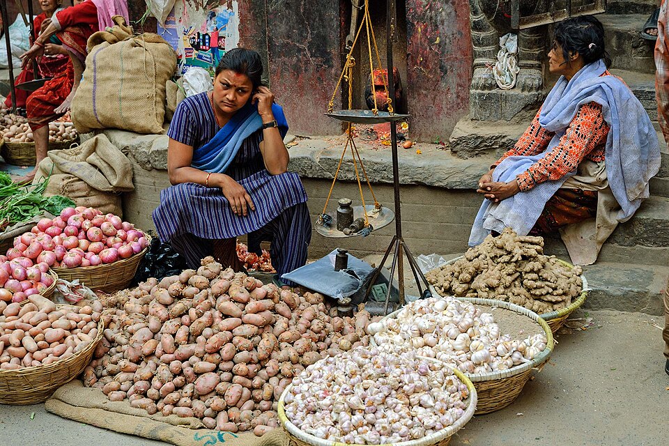 पनौती अर्गानिक फार्म